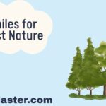 Similes for Forest Nature