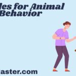 Similes for Animal Behavior