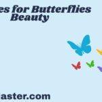 Similes for Butterflies Beauty