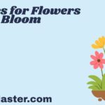 Similes for Flowers Bloom