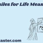 Similes for Life Meaning